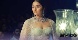 আঞ্চলিক তারকা থেকে ভারতজুড়ে পরিচিতি আঞ্চলিক তারকা থেকে ভারতজুড়ে পরিচিতি